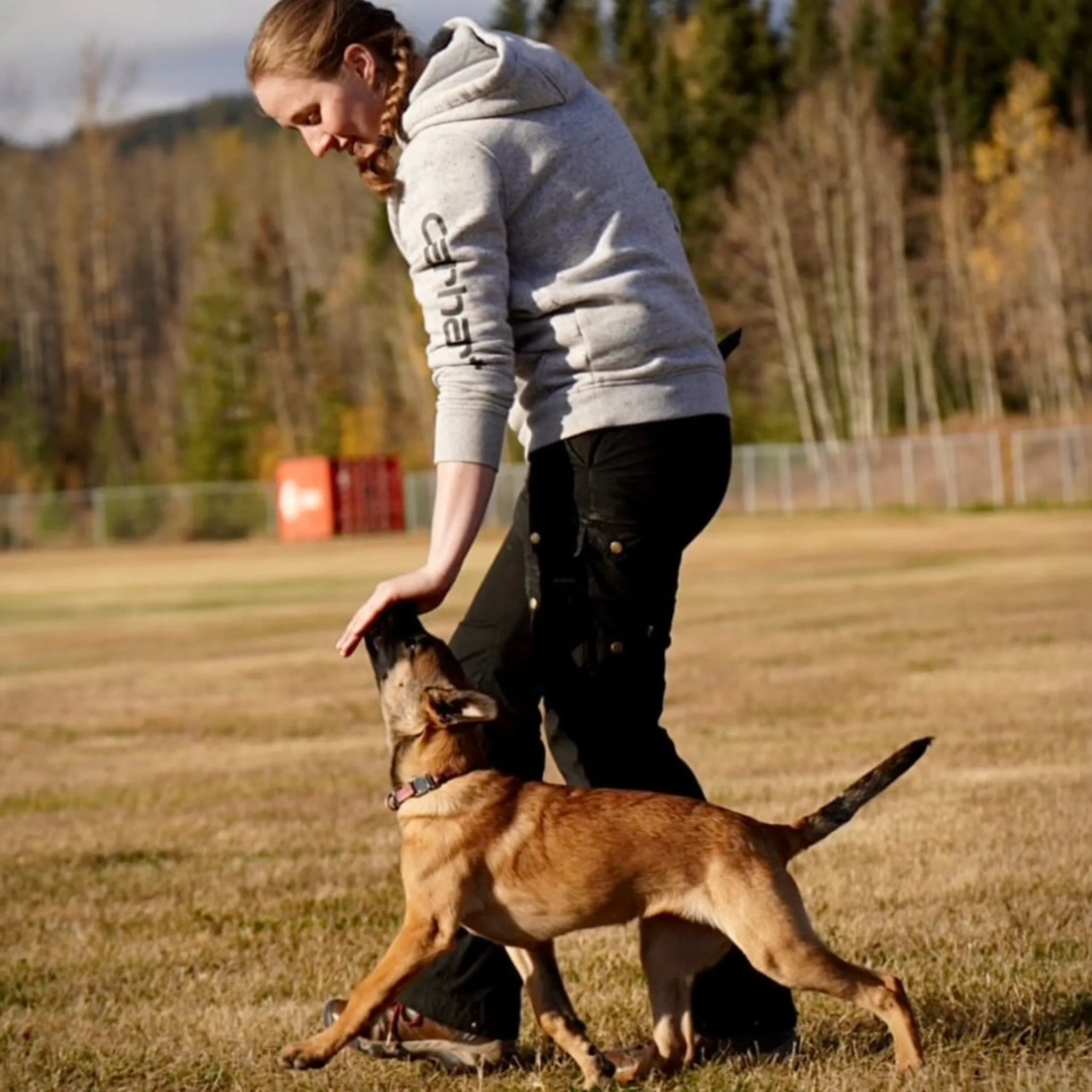 Beginning Your Life Journey: Puppy Group Class Level 1