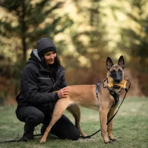 Beginning Your Life Journey: Puppy Group Class Level 1