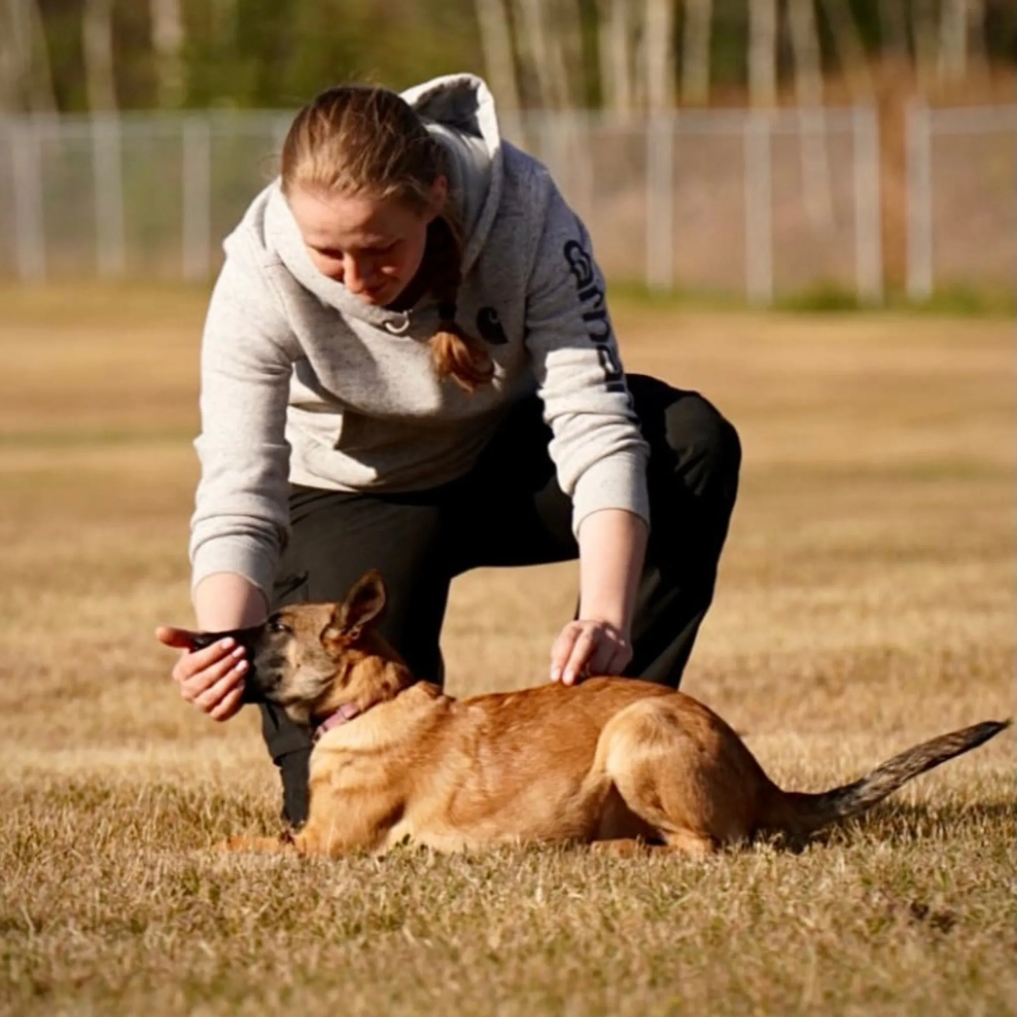 Beginning Your Life Journey: Puppy Group Class Level 1