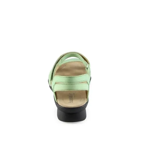 Bussola - Vina Jade